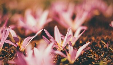 как сделать талисман своими руками